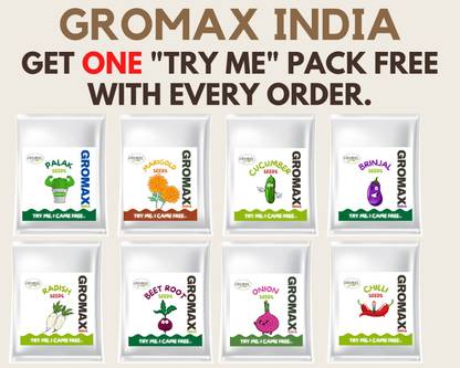 Gromax India GROMAX INDIA COMBO OF 4 LETTUCE ORNAMENTAL C HILLI PAKCHOYE Seed