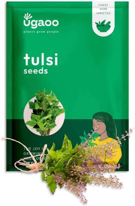 UGAOO Tulsi Herb Seed