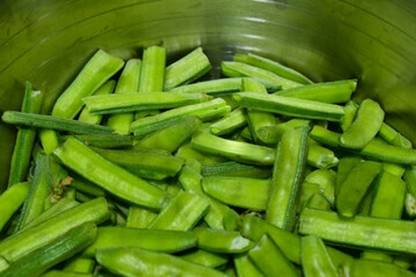 XOLDAA CLUSTER BEANS SEEDS Seed