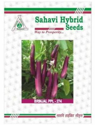 Sahavi Hybrid Seeds BRINJAL Seed