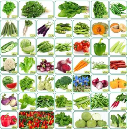 Plantzone seeds 45 varieties (hybrid&organic) vegetable seeds Seed
