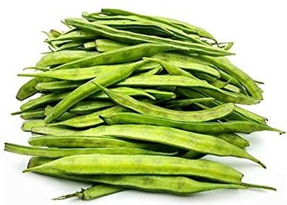 WATIKA Cluster beans seeds /Gawar/Guar/Guvar Seed