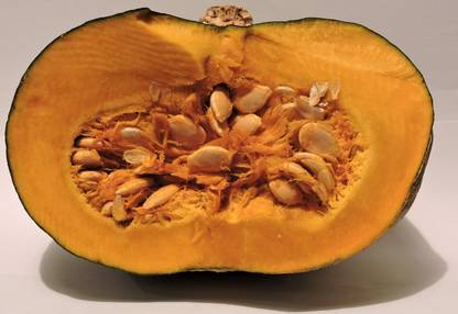 BDSresolve large pumpkin seeds/pumpkin seed 20 Seed