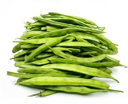 WATIKA cluster beans Seed