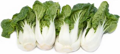 WILLVINE KGF -IV Chinese Cabbage - Pak Choi - Extra Dwarf [1g] Seed