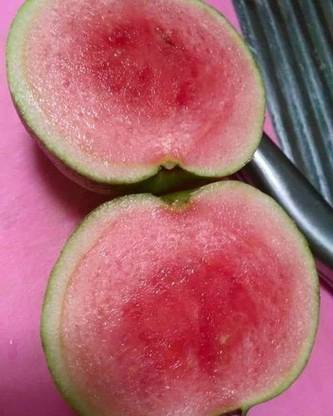 M-Tech Gardens Rare Hybrid Guava " Red Diamond " Exotic 40 Seed