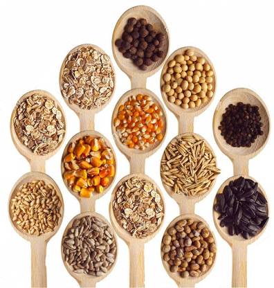 CYBEXIS Varieties of Heirloom Vegetable Seeds Seed