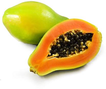 KNESSiN Exotic Dwarf Papaya tree Solo Sunrise Mature height seeds Seed