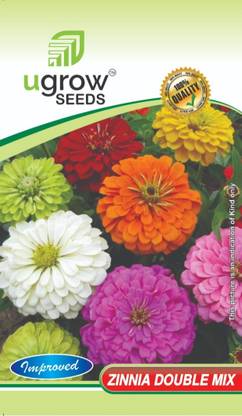 U-GROW INDIA UGROW INIDA DOUBLE MIX ZINNIA: ASSORTED COLORS, DOUBLE BLOOMS Seed
