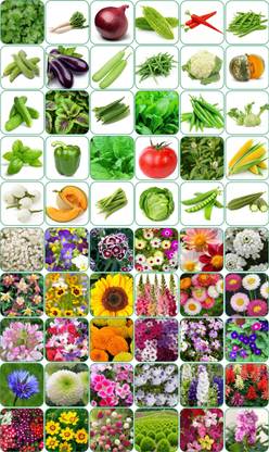 Aero Seeds 60 variety(30 flower and 30 vegetable) seeds combo pack with instruction manual. Seed