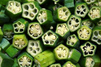 treeandroots BHINDI seeds, corrender seeds Seed