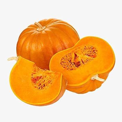 CYBEXIS High Germination Pumpkin Seeds Four Seasons-50 Seeds Seed