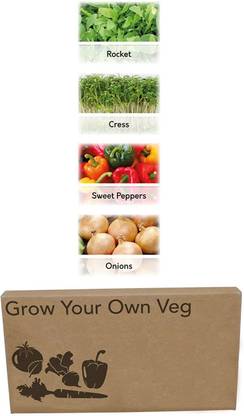 CYBEXIS 4 Varities Grow Your own Kits Seed