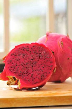 Oliver hybrid dragon fruit seed Seed