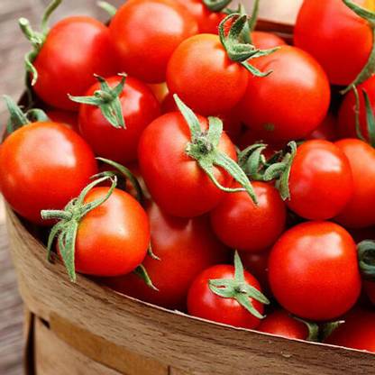SREE Tomato seeds 100% Original tometo Seed