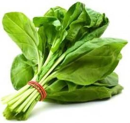 KNESSiN Microgreens Spinach Palak Leaf Seeds Seed