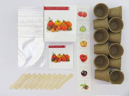 VibeX – 5 Extraordinary Vegetables to Grow Seed