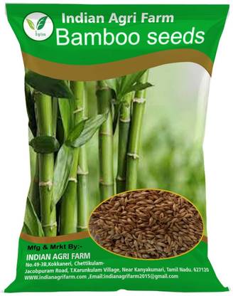 IAgriFarm Bamboo Seeds - 250 Gram / Fence Bamboo / Clumping Bamboo / Bush Bamboo Seed Seed