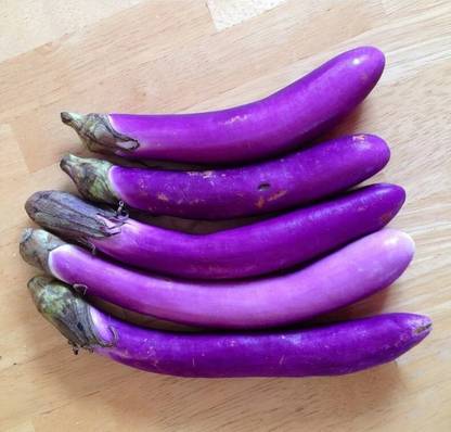 Avysa Ping Tung Eggplant Seed