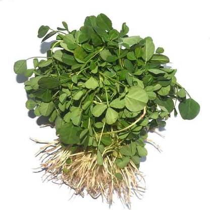 Avysa Fenugreek Leafy | Methi | मेथी Seed