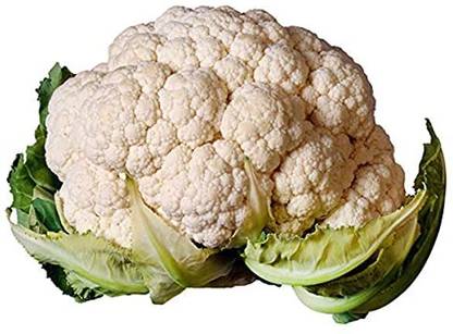 WILLVINE PAU -XI Pusa Snowball K-1 Variety Cauliflower [100g, 30000 Seeds] Seed