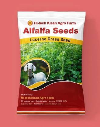 Hi tech Kisan Agro Farm Hi-tech Kisan Agro Farm Alfalfa Lucerne Grass Seed Seed