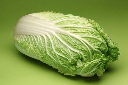 Nodoc Organic Chines cabbage Seed