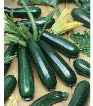 OMOM BlackBall-Round-Zucchini-Summer-Squash- Seed