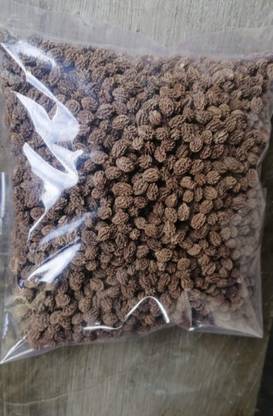 Desi Papaya seeds 15 number Seed