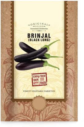 VibeX ® XLR-11 Long Black Brinjal Vegetable Seeds Seed