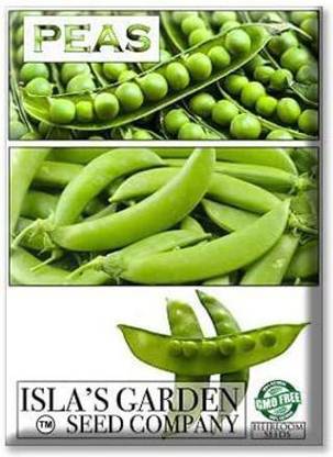 VibeX XLR-6 - Early Frosty Pea - (100 Seeds) Seed
