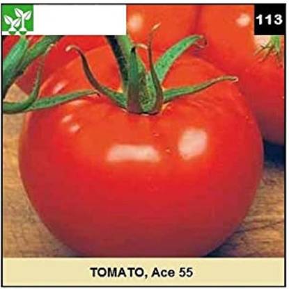 CYBEXIS ACE-55 TOMATO-250 Seeds Seed