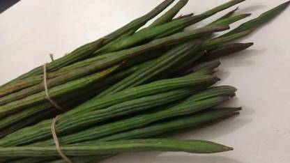 Aywal MORINGA/DRUMSTICK/SAIJAN Seed