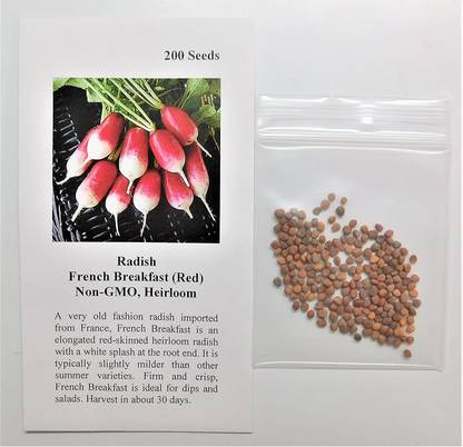 CYBEXIS HUA-82 - Radish French Breakfast (Red) - (250 Seeds) Seed