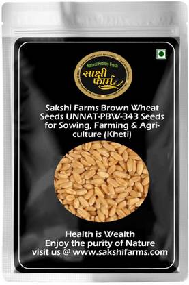 Sakshi Farms Brown Wheat Seeds, PBW 343 for Sowing, Farming & Agriculture, Gehu Ka Bheej Seed