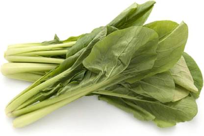 WILLVINE GUA-386 Mustard Spinach Komatsuna Japanese Seed