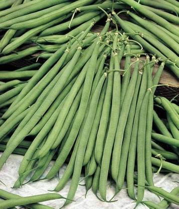 BJUBAS Beans vegetable seedss Pack of 17 Seed