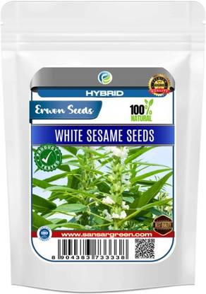 Erwon Hybrid White Sesame Seed