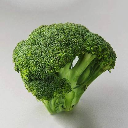 CYBEXIS Vegetable Plant Broccoli Seeds-250 Seeds Seed