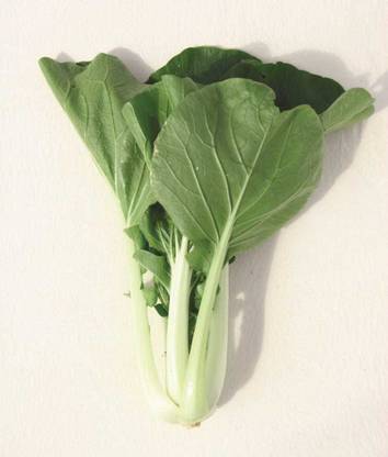 Atlus Pak Choi White Flash Seed