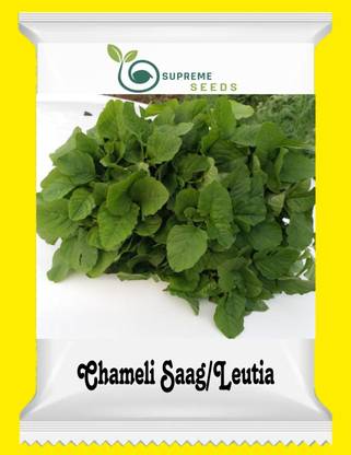 Supreme Leutia/Chameli Saag Seed