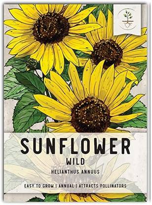 VibeX ATS-16 - Wild Sunflower - (150 Seeds) Seed