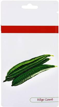 WILLVINE Disease Resistant Hybrid Ridge Gourd Ns 474 High Yield[250 Gms, 1250 Seeds] Seed