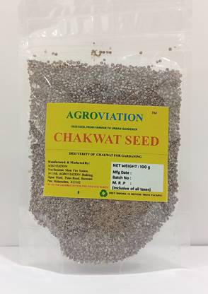 AGROVIATION CHAKWAT, CHAKVAT Seed