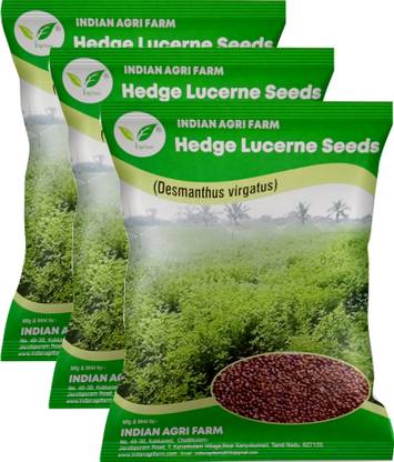 IAgriFarm Hedge Lucerne Seed Pack of - 3 kg - Velimasal / Desmanthus Fodder Seed