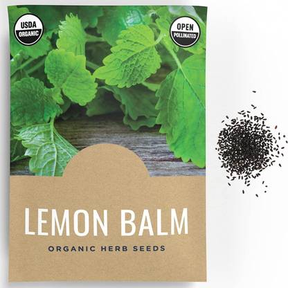 CYBEXIS XLL-35 - Lemon Balm Herbs - (2250 Seeds) Seed