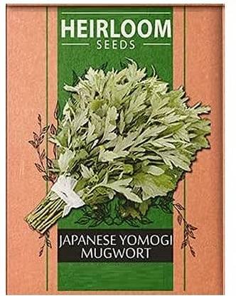 Biosnyg Japanese Yamogi Mugwort-[1000 Seeds] Seed