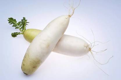 VINTI Radish (Mooli) Vegetable (मूली के बीज) Seed