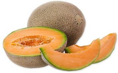 VibeX NBIR-8 - Hara Madhu Kharbuj / Musk Melon - (1350 Seeds) Seed