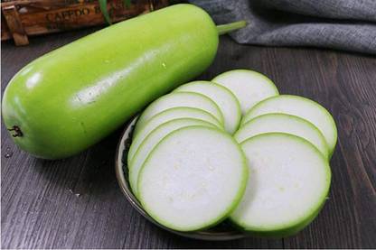 KNESSiN BOTTLE GOURD SEEDS/GHIYA K BEEJ-[100gm] Seed